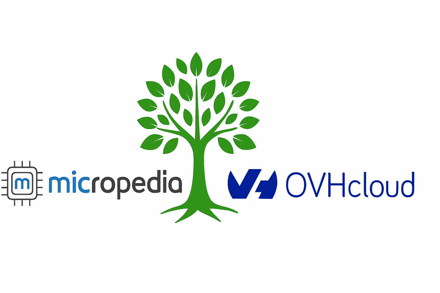 micropedia informatica sostenibile con ovh cloud